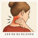 뒷골2로4 이미지