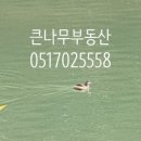 송원 공인중개사사무소 이미지