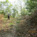 마곡온천관광지 이미지