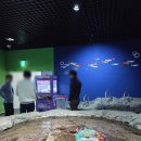 뽑기랜드 이미지