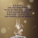 카페;매듭달