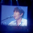 이은미 콘서트 Daum카페