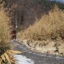 버들도원 이미지