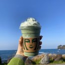 어쩌다제주 이미지