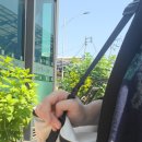 이레청과물