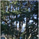 황등초등학교 이미지