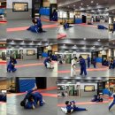 용인대 도당 유도체육관 네이버블로그