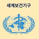 해피라이프플러스