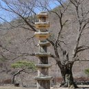 신안사 - 1393 | 신안사