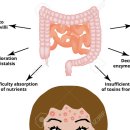 코디케어 이미지