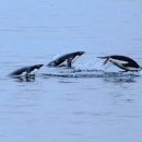 남양환경 이미지