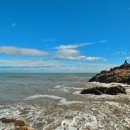 해동용궁사 이미지