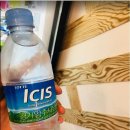 피그코인노래연습장 이미지