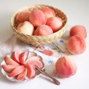 운송농원 - 울주군 웅촌로 484 | 딱복 먹는법 딱딱이 복숭아 품종 정담아농원 택한 이유