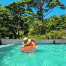 포레스트리솜 이미지