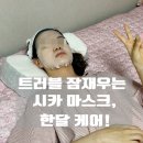 (주)브리스바이오 | 수분 미백 마스크팩효과가 좋은 브리스바이오 점뺀후 관리