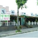 빈랑예찬 이미지