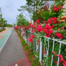 상신하길로196번길 이미지