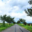 대산문화체육공원(파크골프장) 이미지