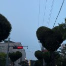 티나스타일(청주점) | 청주 성안길 분위기 맛집 올드타운클럽 솔직후기* ੈ♡‧₊˚