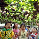 용평면사무소 이미지