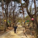 인천강화소방서 이미지
