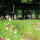 문경석탄박물관 이미지