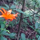 인곡마을회관 이미지