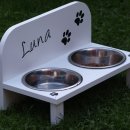 세인트동물병원 이미지