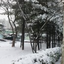 사라노래연습장 이미지