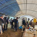 농어촌공사앞 이미지