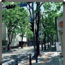 감명세무회계 | 마포세무사 '세무회계 인더택스' 이용 후기: 믿음직한 파트너로서의 경험