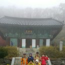 늘푸른한우농장 이미지