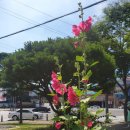 해미해물찜전문점 이미지