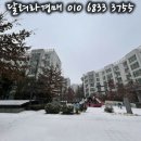 신월로(남측) 이미지