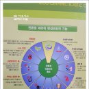 부산 / 김해/ 장유 친환경 세라믹 탄성코트로 베란다 내부 인테리어 효과까지! 이미지