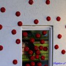 시안미술관 이미지