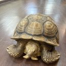 센트럴 곤충생태농장 이미지