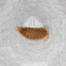 용자농장 이미지