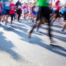 올바른짐 이미지