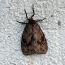 평창자연휴양림 이미지