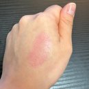 매일 꽃 | 요즘 매일 쓰는 립템, 틴톤 꽃 립스틱 스칼렛레드 솔직 후기