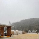 카페이글루 | 포천 광릉수목원 카페 사유색 - 반려동물 동반 가능한 이글루 텐트존 있는 감성 카페 후기
