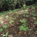 이동섭농장 이미지