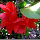 효성공원 이미지