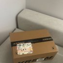 그린봄 | 아디다스 가젤 볼드 크림 화이트 컬리지 에이트 그린 후기 / 사이즈 추천, 봄 신발추천