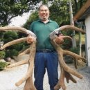 제일사슴농장 이미지