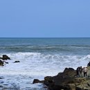 소유 오시리아 | 산책과 데이트하기 좋은 부산 오시리아 해안산책로