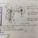 역학 33쪽 질문드립니다. 이미지