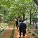 한밭수목원 이미지